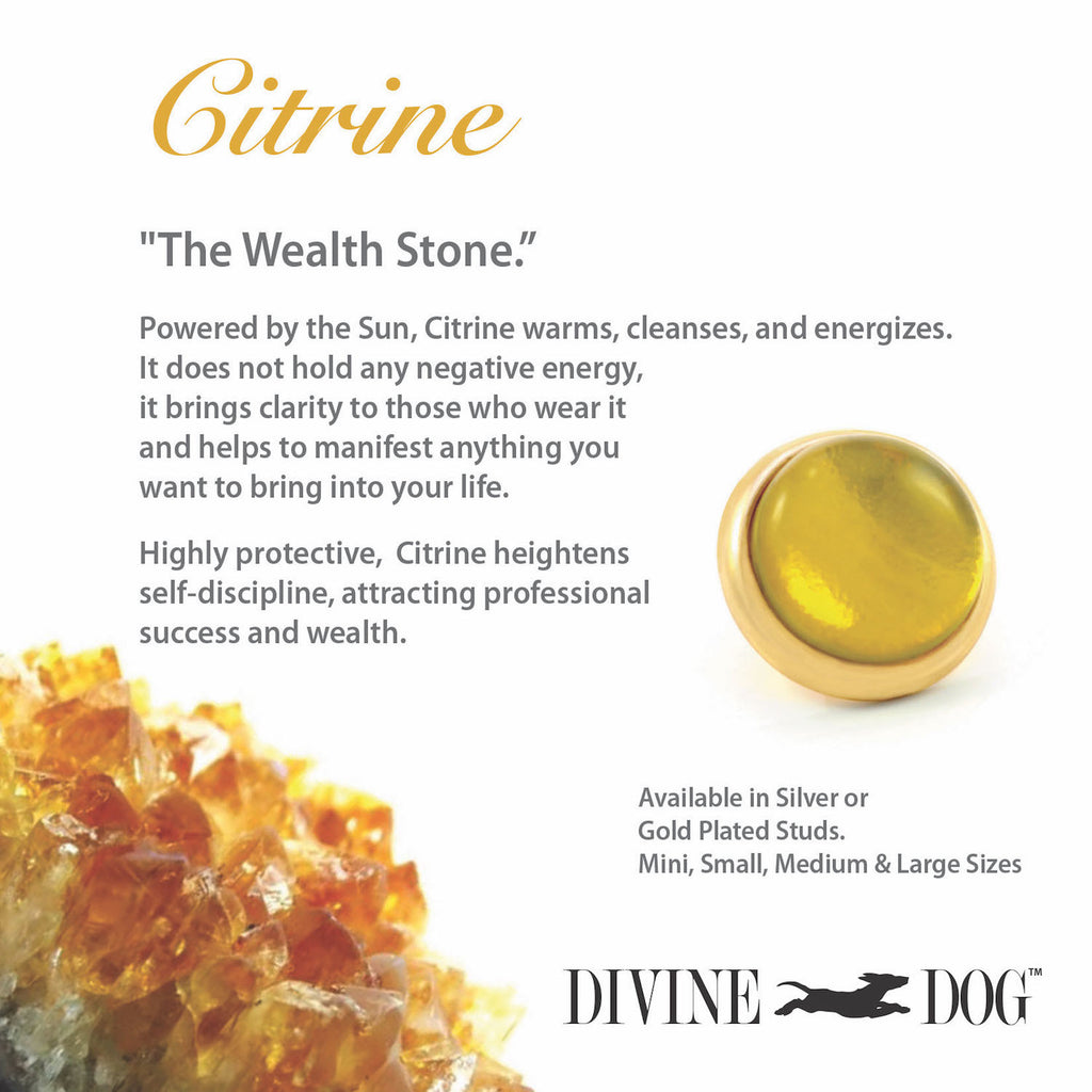 Divine Dog Gemstone Studs for Divine Dog Collars, Leashes and Companion Bracelets - Citrine