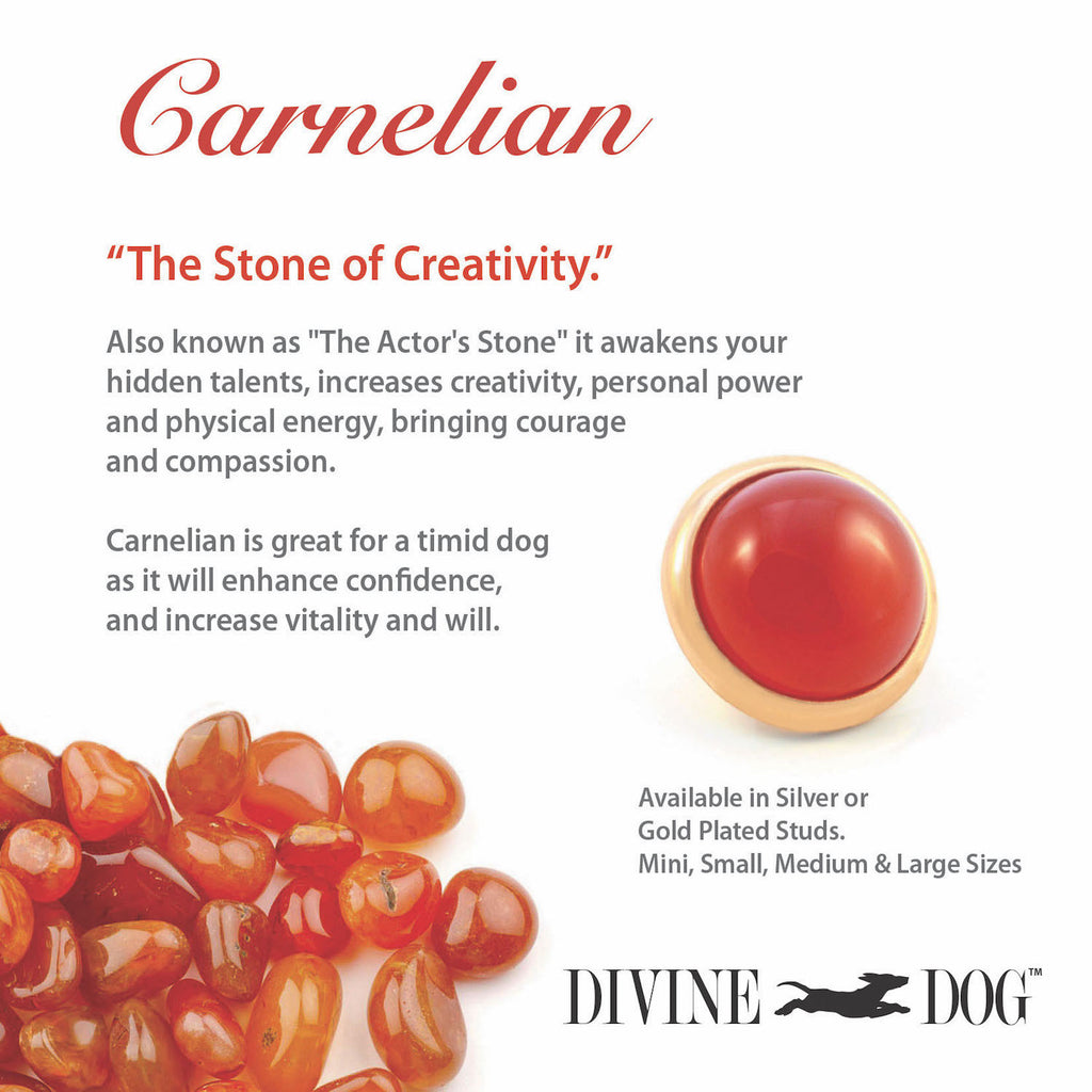 Divine Dog Gemstones for Dog Collars, Leashes and Companion Bracelets - Carnelian