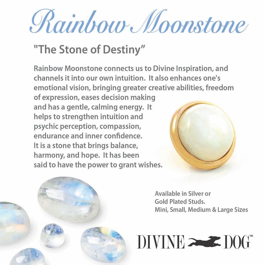 Divine Dog Gemstone Studs for Dog Collars, Leashes and Companion Bracelets - Rainbow Moonstone