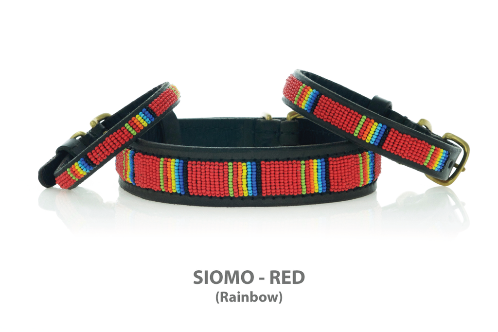 Rainbow Dog Collar Beaded - Kenya Collars