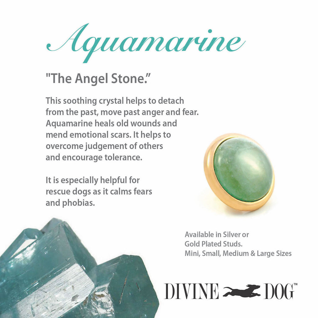 Divine Dog Gemstone Studs for Dog Collars, Leashes and Companion Bracelets - Aquamarine