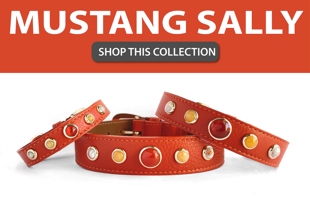 Luxury Designer Dog Collar Beige Leather & Red Stones 