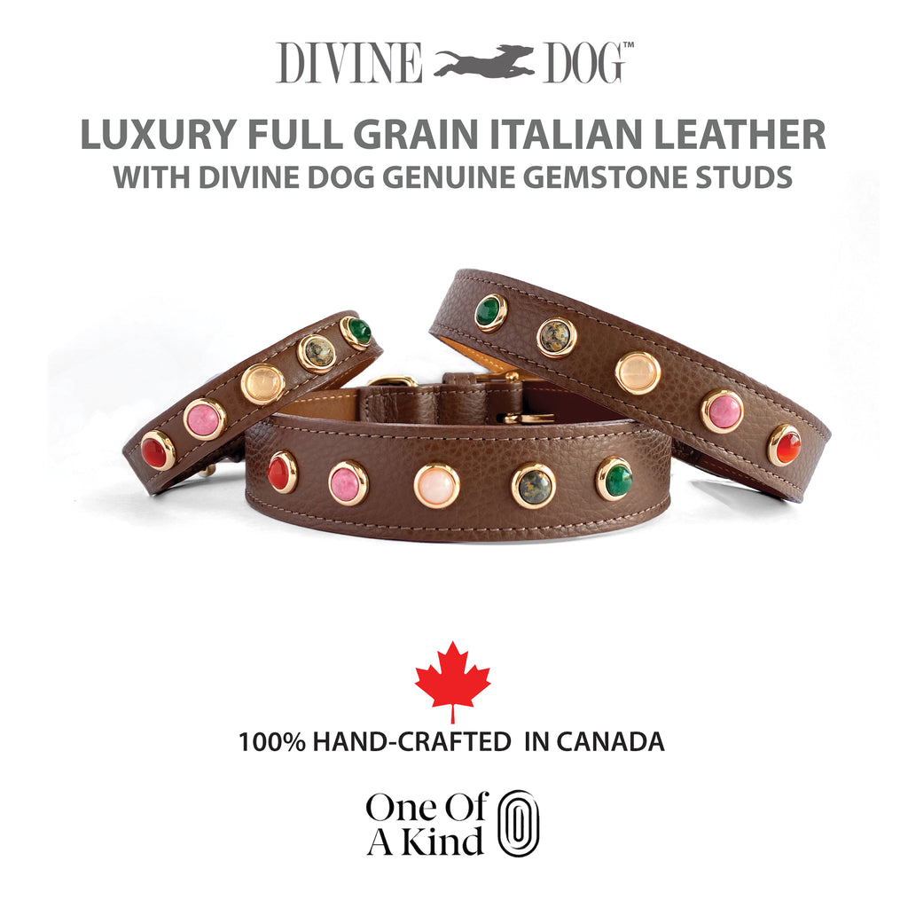 The perfect leather dog collar with gemstones to add loving energy between you and your dog.