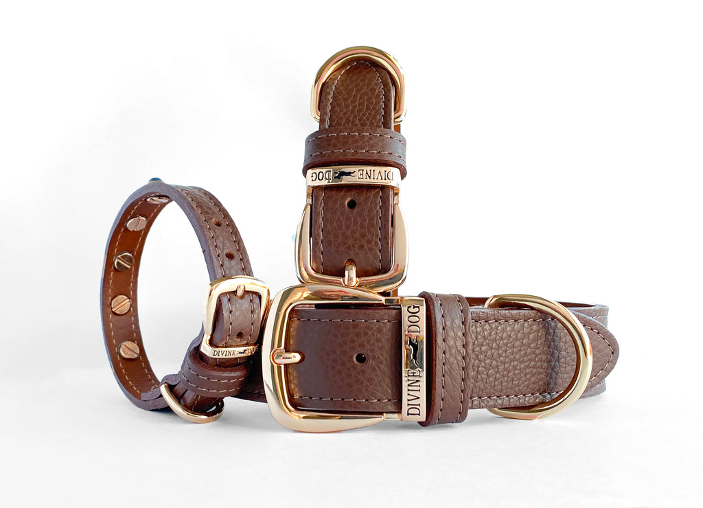 You can see the quality here of Divine Dog Collars