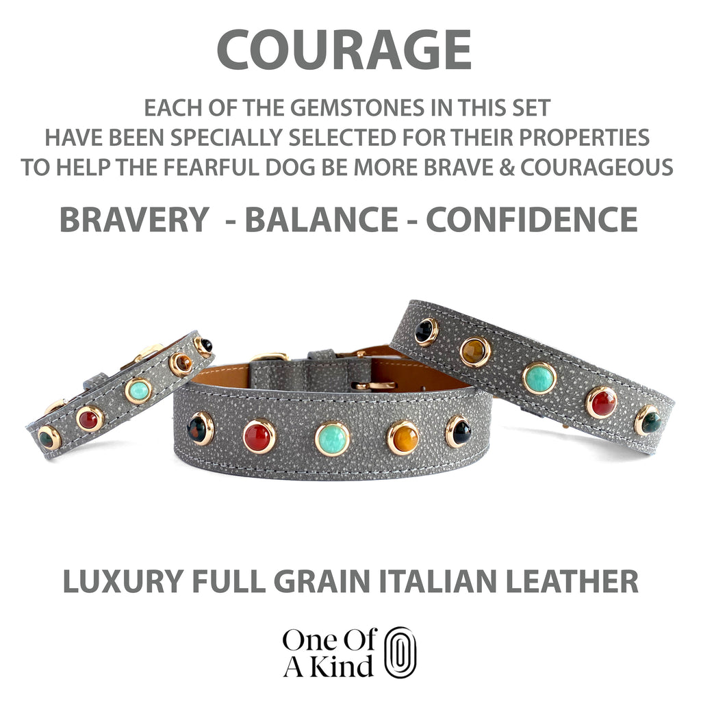 Our best Leather dog collar with Healing and Spiritual Gemstones and Crystals specially selected for their properties to help fearful dogs be more Courageous, Brave, Balanced and Stable in their environments and during fearful situations. 