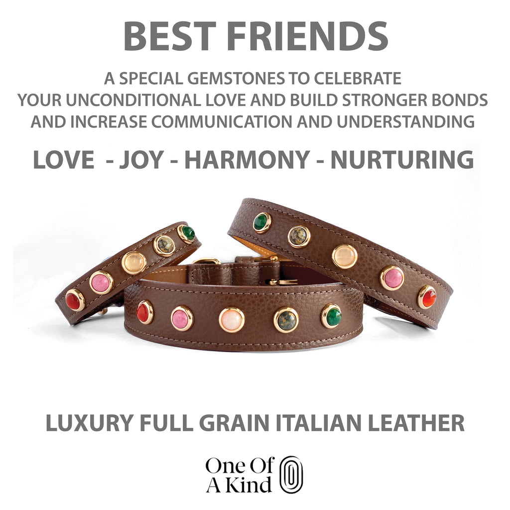 THIS DOG COLLAR AND GEMSTONE SET IS TO GIVE ENERGY TO YOUR BEST DOG FRIEND TO CELEBRATE YOUR UNCONDITIONAL LOVE AND BUILD STRONGER BONDS BETWEEN YOU.