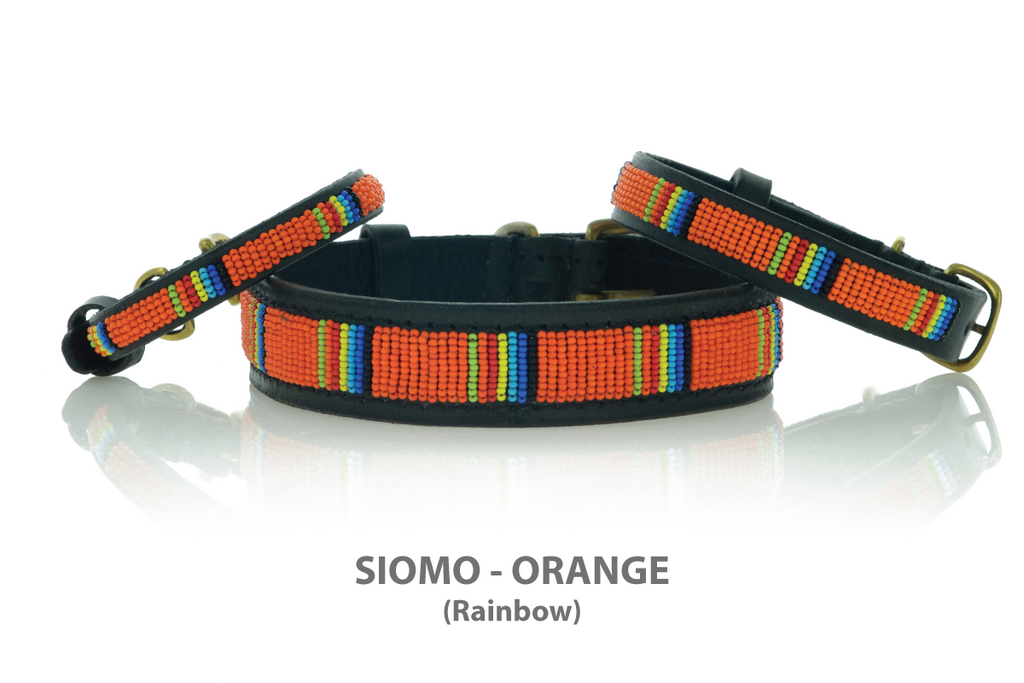 Rainbow Dog Collar Beaded - Kenya Collars